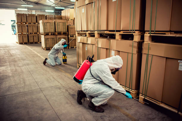 Best Emergency Pest Control  in Mountainhome, PA