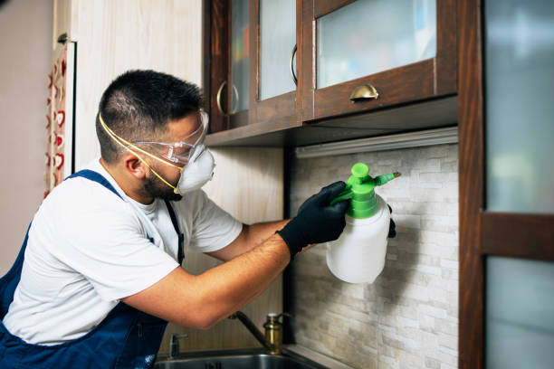 Best Pest Prevention Services  in Mountainhome, PA