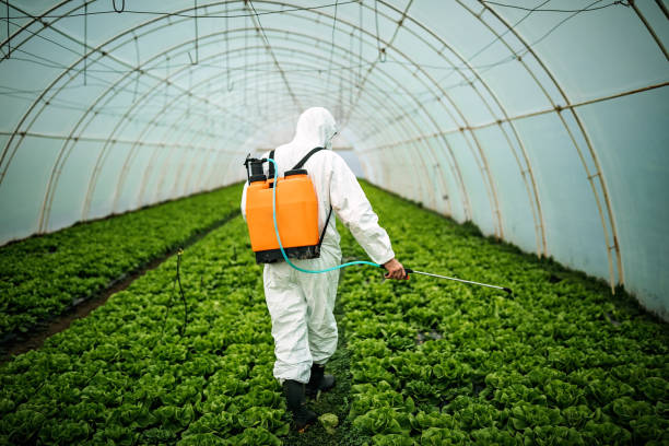 Best Best Pest Control Companies  in Mountainhome, PA