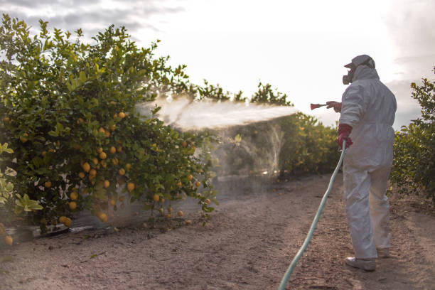 Best Pest Removal Services  in Mountainhome, PA