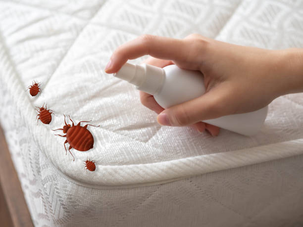 Best Mosquito Control Services  in Mountainhome, PA