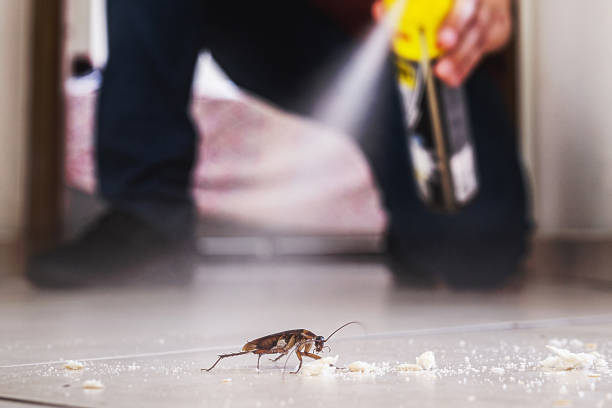 Best Exterminator Services  in Mountainhome, PA