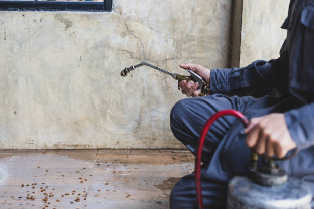 Best Affordable Pest Control Services  in Mountainhome, PA